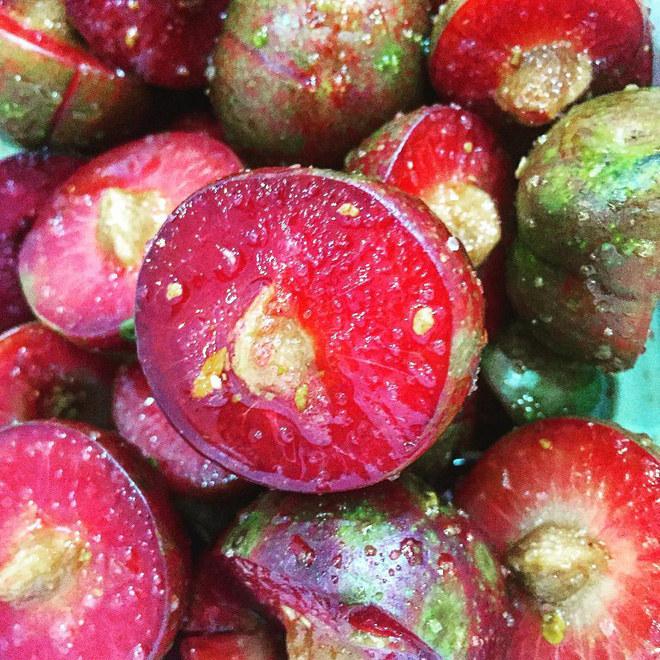 Những loại quả chua dân dã nhưng đã gieo tương tư cho biết bao thế hệ-9