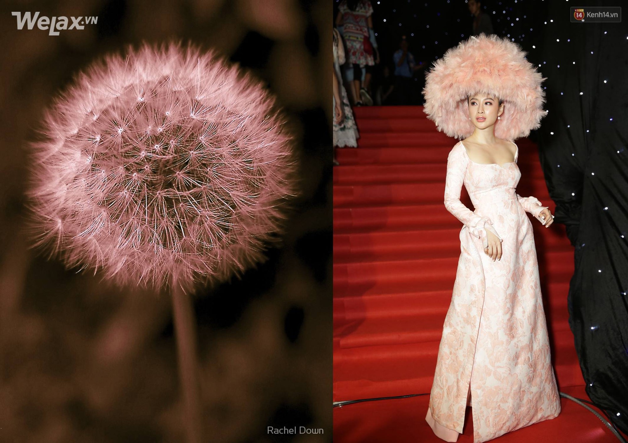 Tất cả xê ra, thảm đỏ VIFW đêm đầu tiên phải để cọ xoè ô che nắng, râm mát đường Angela Phương Trinh đi-3