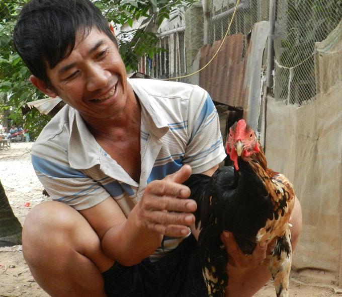 Kỳ lạ con gà pê đê” có biệt tài gáy được 2 giọng trống, mái-3