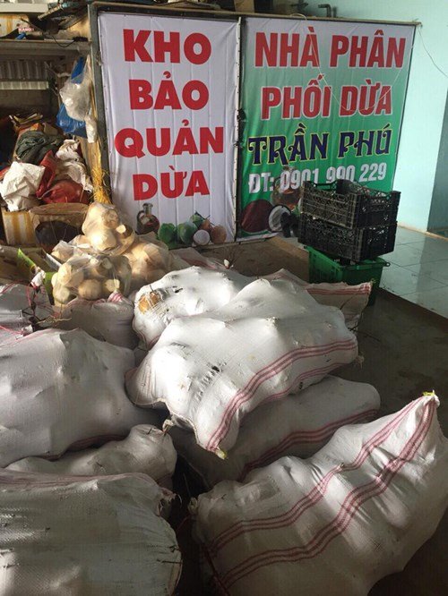 Tẩy trắng dừa bằng hóa chất lạ để tuồn vào resort-2