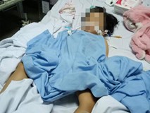 Cơ sở mầm non nơi bé gái gần 20 tháng tuổi bị rạn hộp sọ, tụ máu não tại Quảng Ninh chưa được cấp phép Cơ sở mầm non nơi bé gái gần 20 tháng tuổi bị rạn hộp sọ, tụ máu não tại Quảng Ninh chưa được cấp phép
