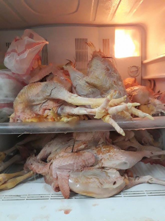 Lỡ khoe với bố vợ có thể thịt 1 con gà trong phút mốt, chàng rể xắn tay thể hiện làm 1 lúc 10 con và thành quả khiến vợ muốn giấu nhẹm-2