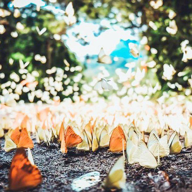 Hai địa điểm đẹp như tiên cảnh ở Ninh Bình nên đi dịp nghỉ lễ-4