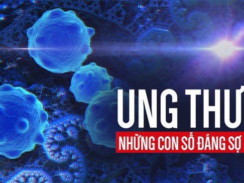 Những con số