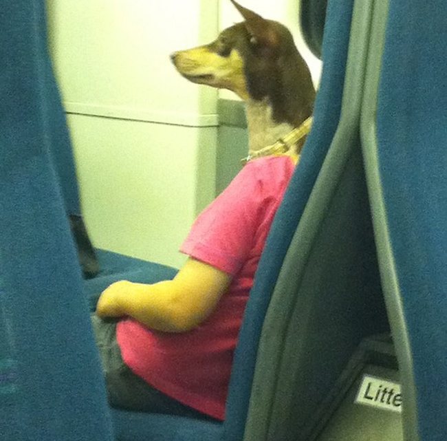 Ơn giời, coi chừng nhìn nhầm nhé các thím!-13