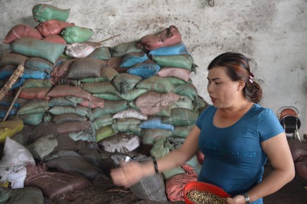 Hàng xóm tiết lộ thông tin lạ từ cơ sở cà phê nhuộm pin-3