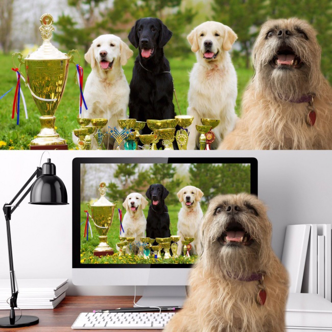 Cư dân mạng sập bẫy với loạt ảnh sống ảo bá đạo-6