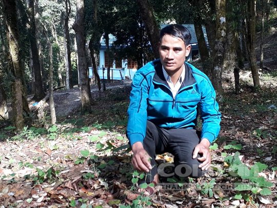 Căng thẳng săn chuột quý tộc ở Kon Tum-2