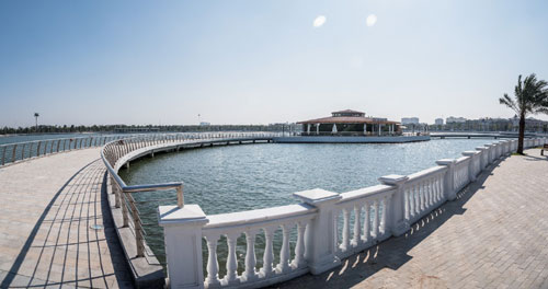 Hà Nội: ngôi trường trong mơ giữa miền sinh thái-2