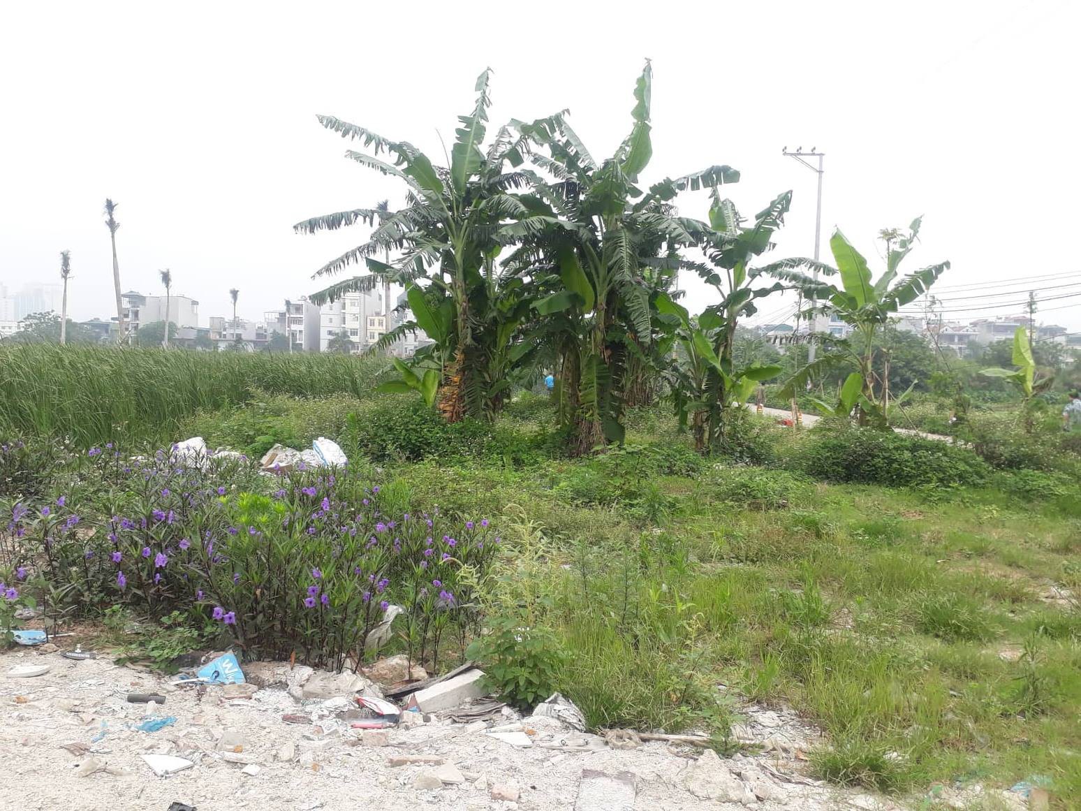 Nghi phạm vụ giết người giấu xác trong bao tải khai dẫn nạn nhân về nhà rồi dùng gạch đánh chết-1