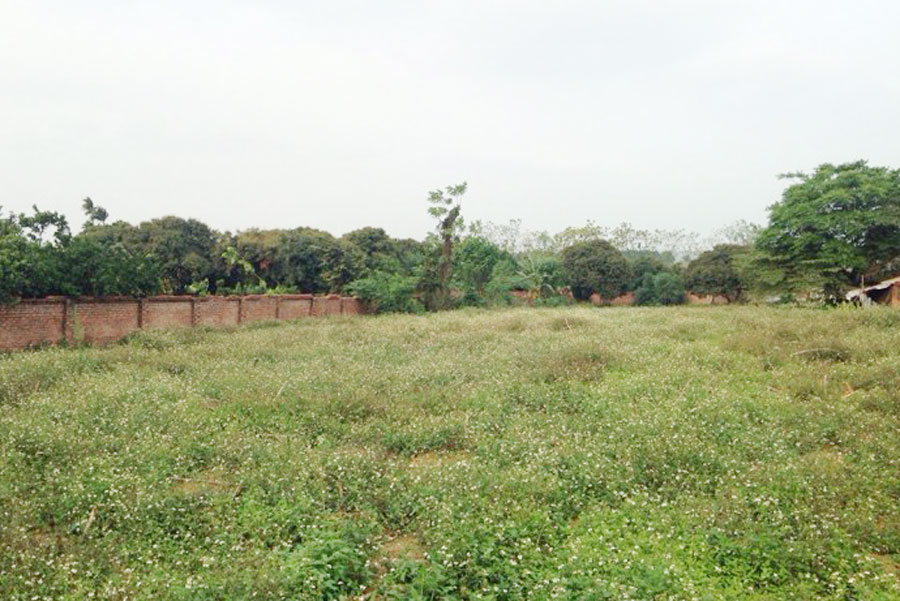 Sốt đất, tăng giá gấp 5 lần: Bùng nổ ở Hòa Lạc-2