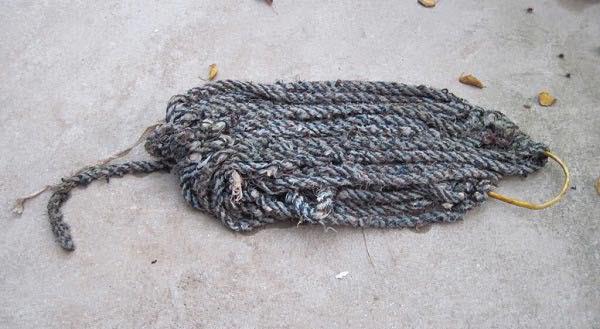 Đi chơi xa tẹt ga không lo cây cảnh chết héo nhờ 5 mẹo tự tưới cây cực hay-6