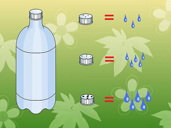 Đi chơi xa tẹt ga không lo cây cảnh chết héo nhờ 5 mẹo tự tưới cây cực hay-4
