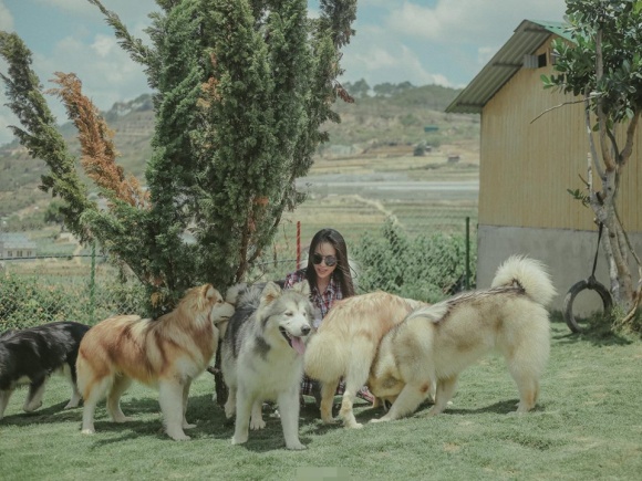 Hiền Thục hào hứng chơi đùa ở trang trại chó tại Đà Lạt-7