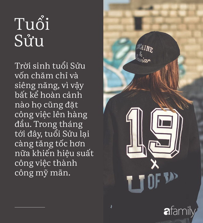 Tháng mới đến rồi, đây là 3 con giáp song hỷ lâm môn, ái tình sự nghiệp đều thuận buồm xuôi gió-3