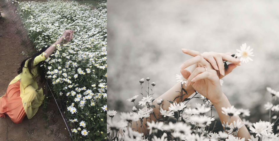 Lễ đi chơi xa hay ở nhà không quan trọng, quan trọng là bạn có hình để sống ảo chưa?-4