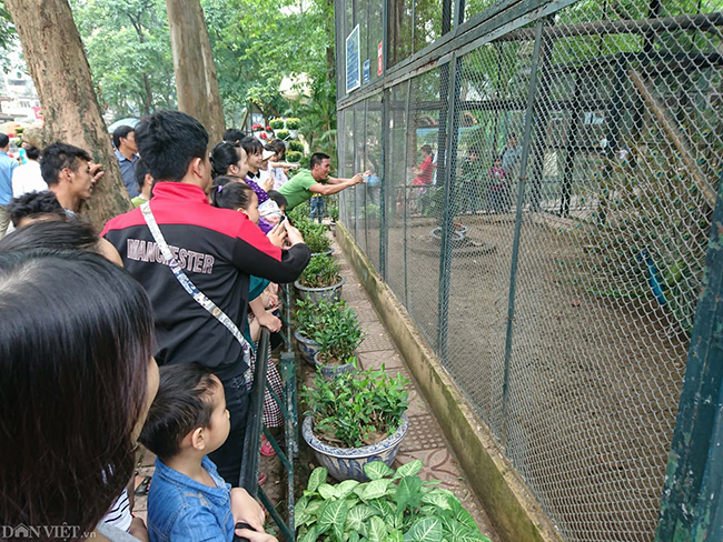 Các khu vui chơi ở Thủ đô đông nghịt người dịp nghỉ lễ-2