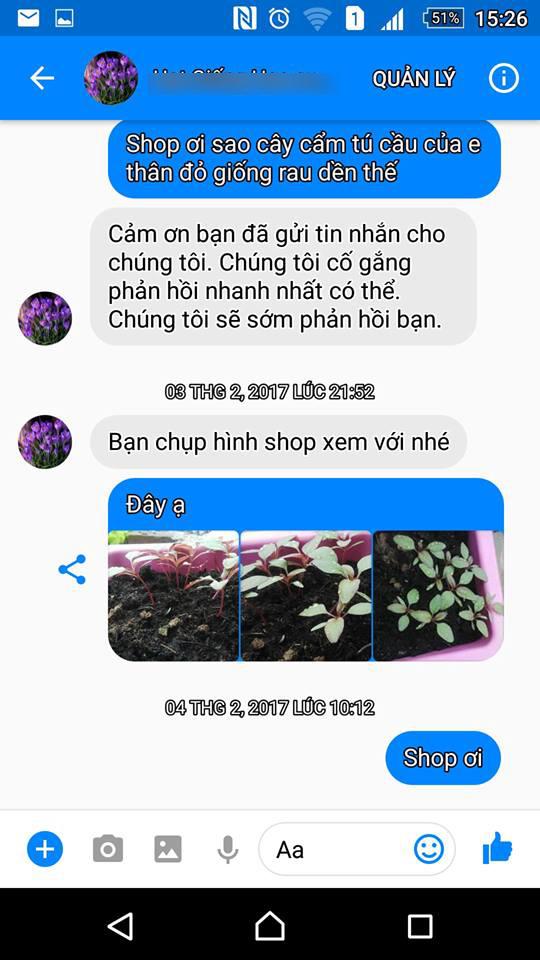 Đặt hạt hoa hồng online, cuối cùng mọc... rau cải, cô gái được dân mạng khuyên mua ngay thịt bò-7