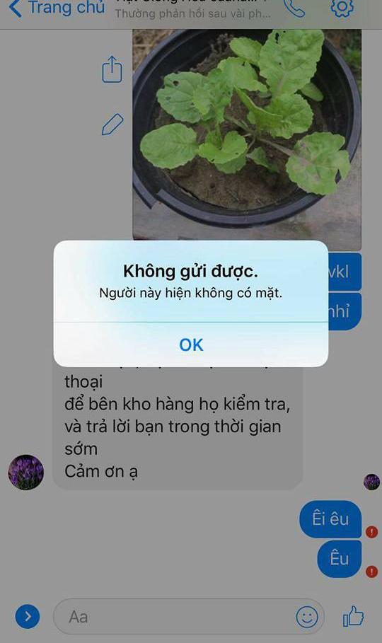 Đặt hạt hoa hồng online, cuối cùng mọc... rau cải, cô gái được dân mạng khuyên mua ngay thịt bò-5