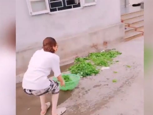 Chết cười với màn vẩy nước rau của gái xinh