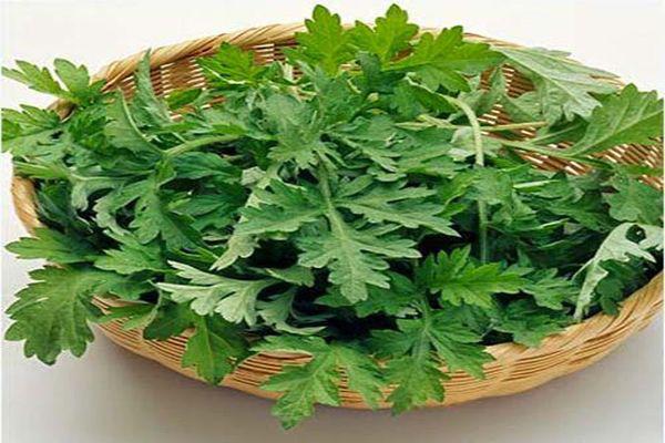 Xoá sẹo lồi cấp tốc nhờ 3 nguyên liệu rẻ, nhanh, gọn có thể thực hiện ngay tại nhà-4