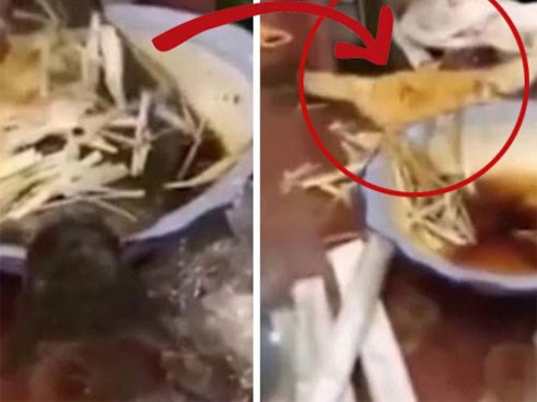 Cá đã được nấu chín bày lên bàn ăn vẫn bật nhảy khỏi đĩa