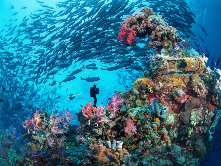 Những địa điểm du lịch kỳ dị nhất trên Trái đất-10