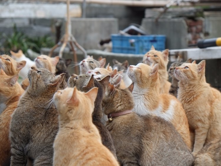 Những địa điểm du lịch kỳ dị nhất trên Trái đất-13