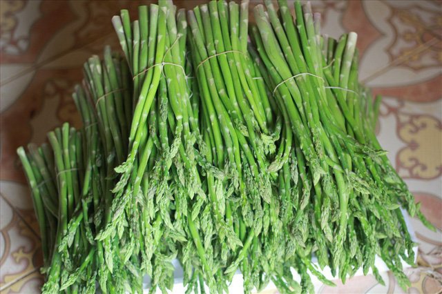 Bỏ công ty riêng về trồng măng tây, thu đều 2 tỷ vào túi-8