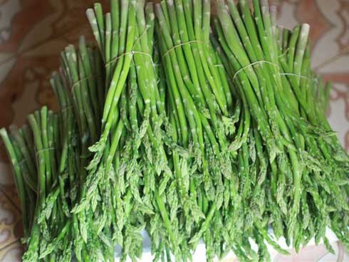 Bỏ công ty riêng về trồng măng tây, thu đều 2 tỷ vào túi