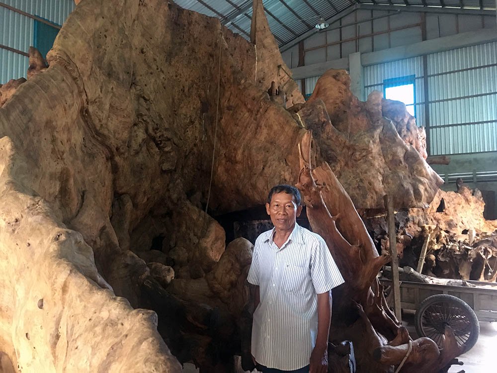 Miễn cưỡng mua gốc cây 35 triệu, nào ngờ được báu vật 35 tỷ-1