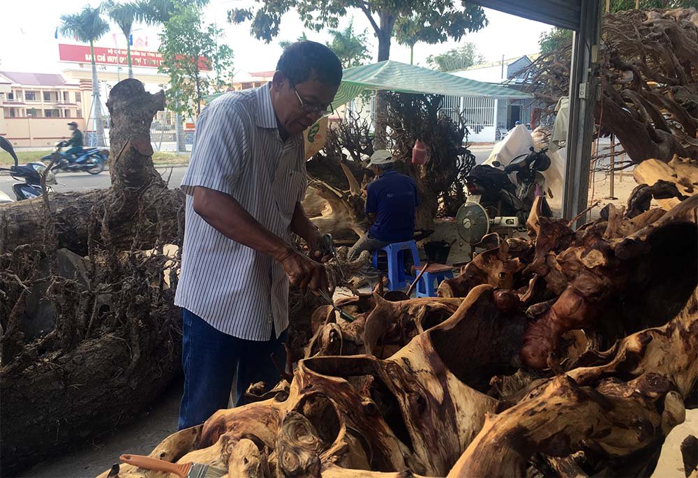 Miễn cưỡng mua gốc cây 35 triệu, nào ngờ được báu vật 35 tỷ-8