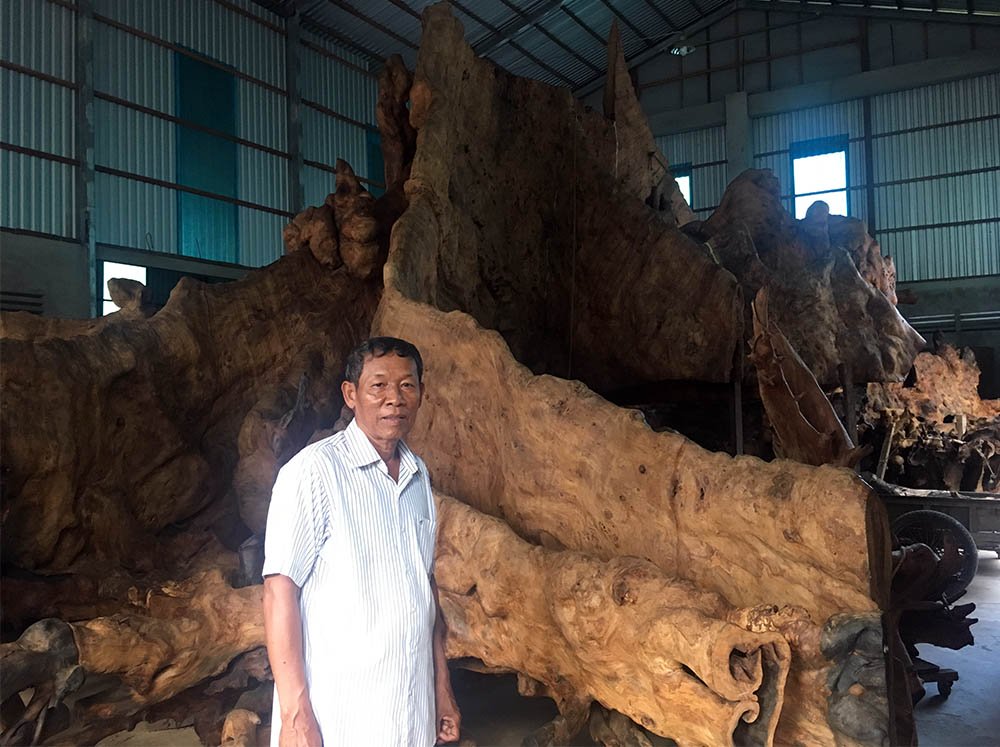 Miễn cưỡng mua gốc cây 35 triệu, nào ngờ được báu vật 35 tỷ-9