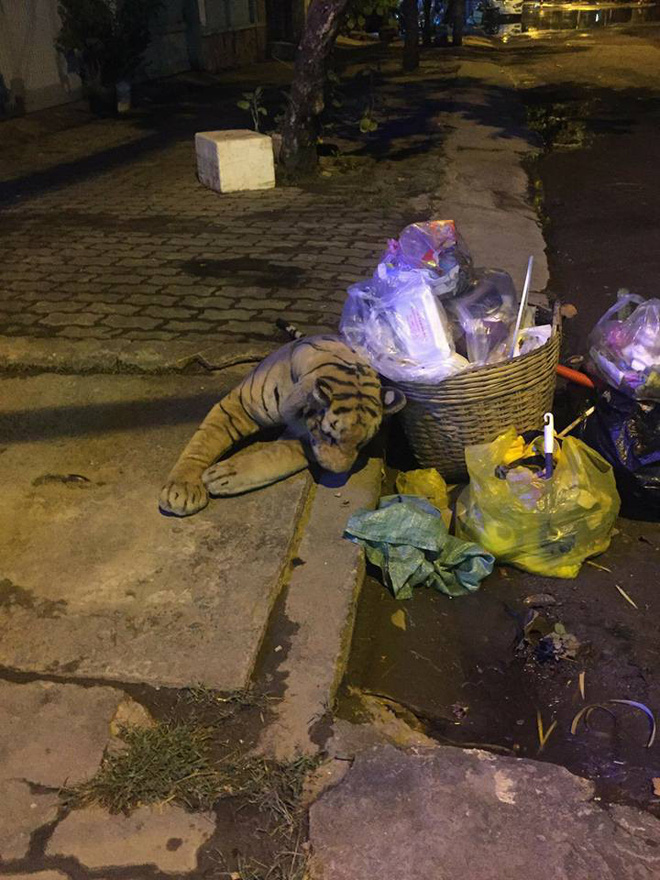 Dòng chữ nắn nót trên mũ bảo hiểm và vali chật ních BVS khiến dân mạng thắc mắc-8