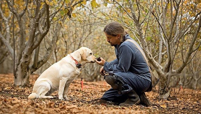 Mùa săn kim cương đen”- đặc sản đắt đỏ nhất thế giới dưới lòng đất-4
