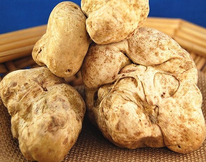 Mùa săn kim cương đen”- đặc sản đắt đỏ nhất thế giới dưới lòng đất-3