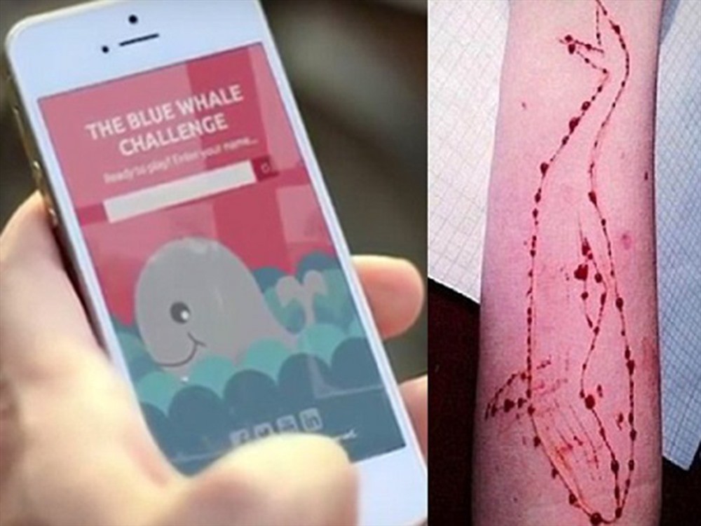 Trò chơi nguy hiểm Cá voi xanh” đã vào Việt Nam?-1