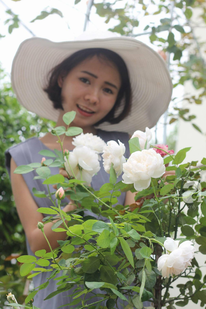 Ngắm khu vườn hoa hồng đẹp ngất ngây đã giúp cô gái thoát khỏi bệnh trầm cảm ở Hà Nội-16