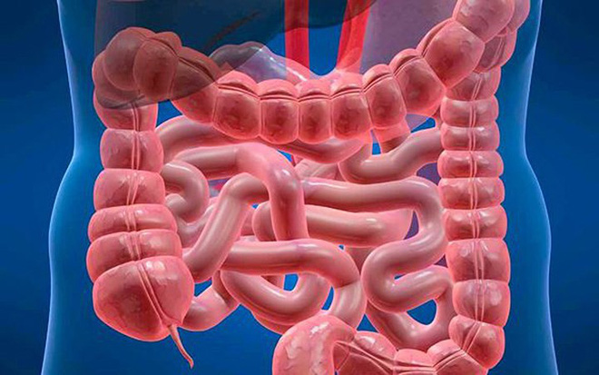 Viêm gan C tàn phá cơ thể như thế nào?-3