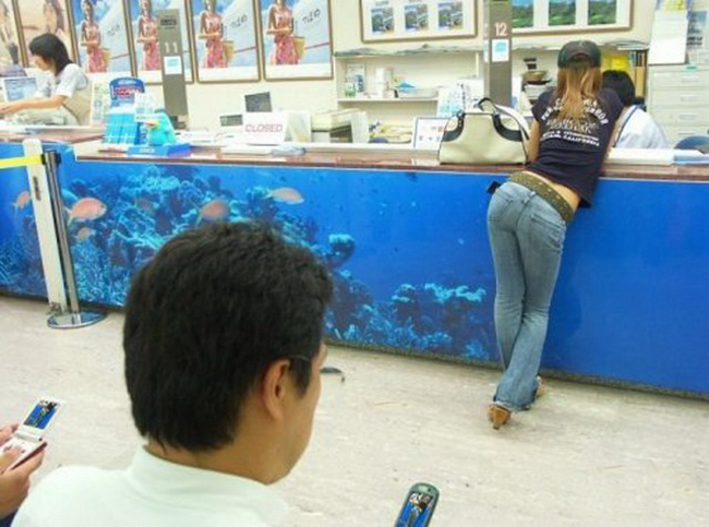 Xem ảnh hài mà cười rung cả người-1