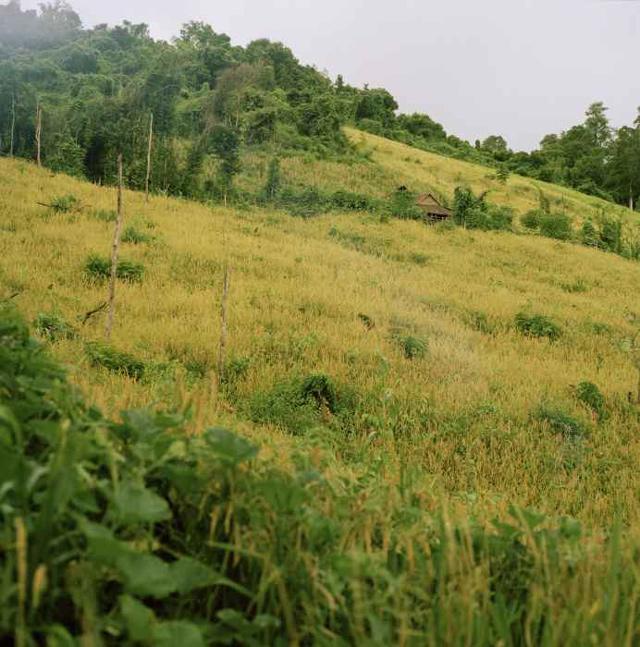 Bộ lạc kỳ lạ, nơi bố mẹ xây chòi cho con gái quan hệ với bao nhiêu người tùy ý-1