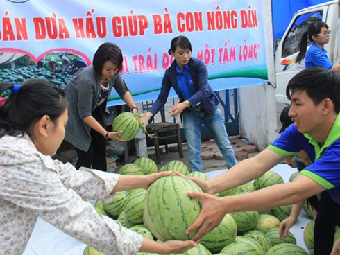 GÓC NHÌN RIÊNG: Giải cứu dưa hấu- Thương nhau đến bao giờ?