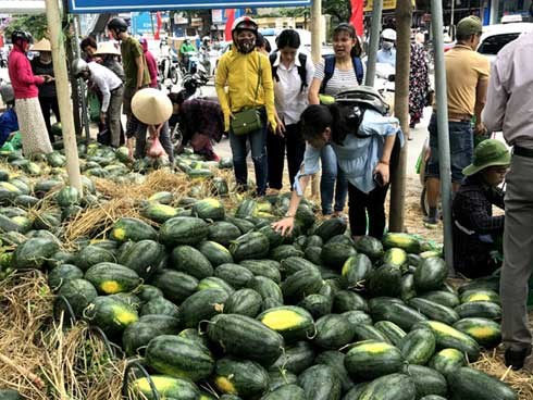 8.000 đồng/kg: Dân Hà Nội chen nhau 'giải cứu' dưa hấu