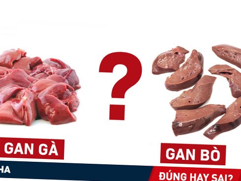 Gan gà, gan lợn, gan bò, gan cá - gan nào tốt nhất: Tiến sĩ Mỹ giải thích
