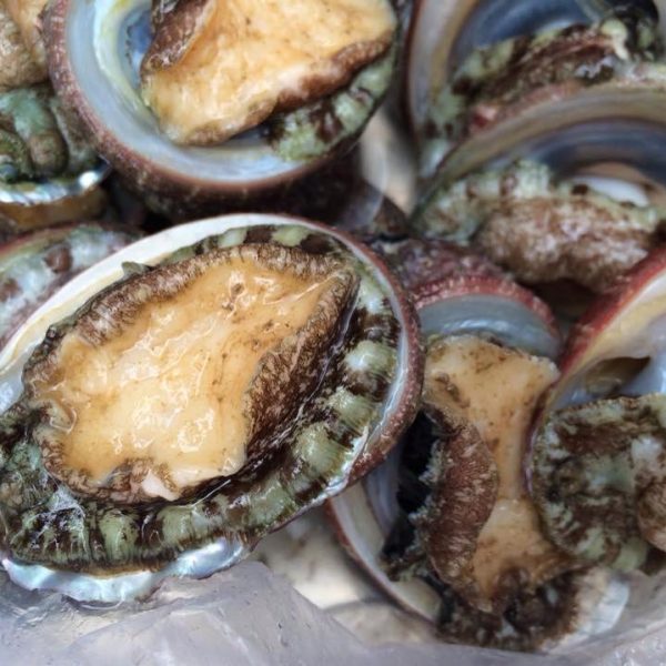 Bào ngư 15 triệu/kg: Bà nội trợ vẫn mạnh tay mua-3