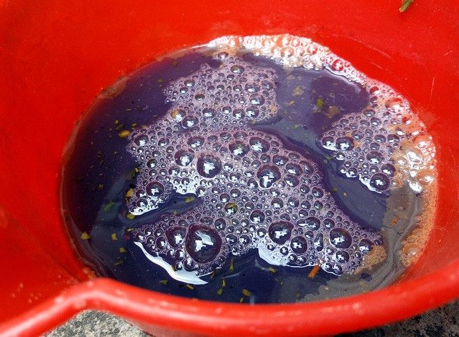 Hà Nội: Hàng nghìn hộ dân hơn 10 năm qua phải ngậm đắng sử dụng nước từ nguồn nước đen, bốc mùi hôi thối-2