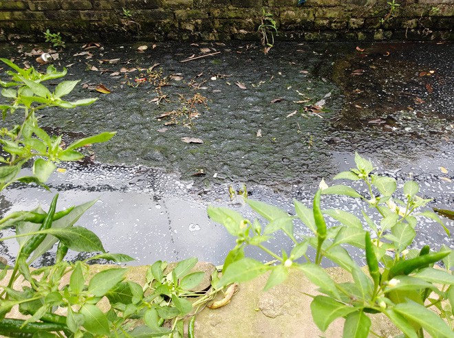 Hà Nội: Hàng nghìn hộ dân hơn 10 năm qua phải ngậm đắng sử dụng nước từ nguồn nước đen, bốc mùi hôi thối-9