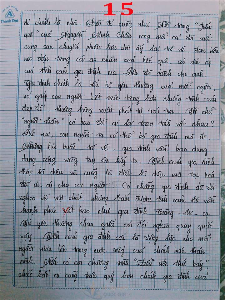 Bài văn 9,5 điểm về tình cảm gia đình khiến cô giáo phải thốt lên: Mọi ngôn từ đều trở nên bất lực!-15