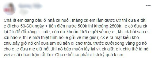 Vợ bầu rút lõi 25% lương của chồng đưa cho nhà ngoại, đến lúc bị chồng giận còn lên mạng hỏi mình có ích kỷ không-1