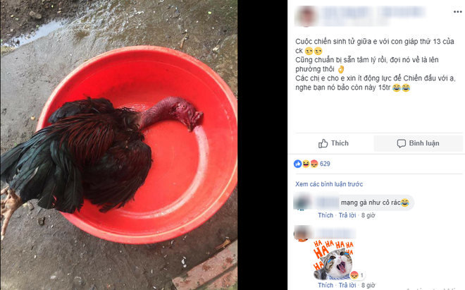 Cười đau ruột với cuộc chiến sinh tử của vợ và bồ nhí lắm lông trị giá 15 triệu của chồng-1